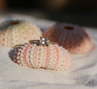 5 Octobre - Flora Morga Ring