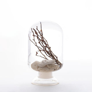 Pieces Of Time - Coral Zelkova