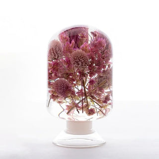 Pieces Of Time - Globe Amaranth