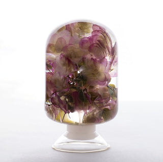 Pieces Of Time - Oregano Flower
