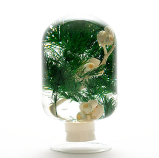 Pieces Of Time - Pine Forest