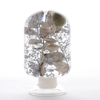 Pieces Of Time - Silver Forest