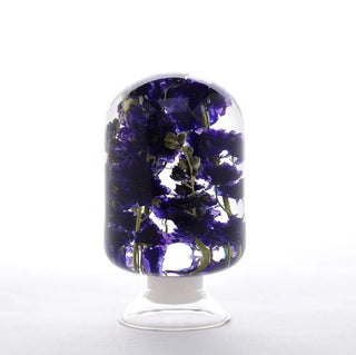 Pieces Of Time - Blue Delphinium