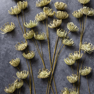 Abigail Ahern â€“ Faux Leucospermum
