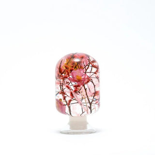 Pieces Of Time - Cherry Blossom