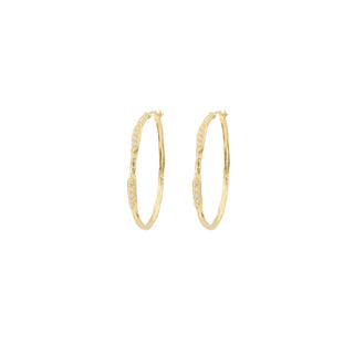 Louise Hendricks - Adora Hoops