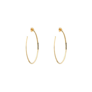 Louise Hendricks - Charlie Hoops