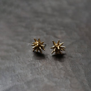 8.6.4 - Botanical Stud Earrings