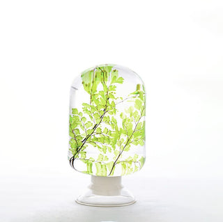 Pieces Of Time - Maidenhair Fern