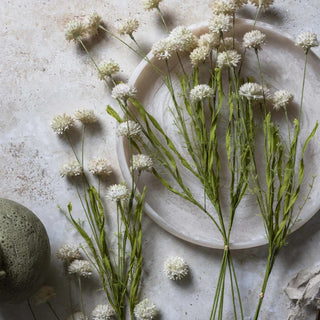 Abigail Ahern â€“ Faux Melaleuca