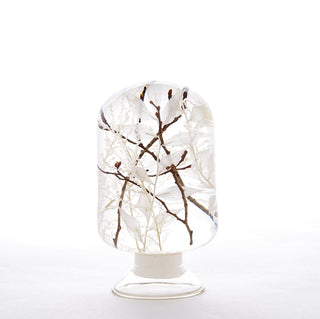 Pieces Of Time - Snow Forest