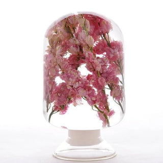 Pieces Of Time - Pink Delphinium
