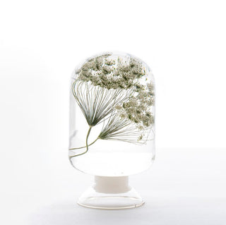 Pieces Of Time - Ammi