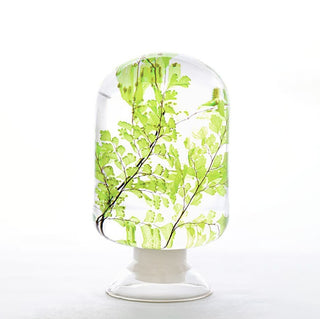 Pieces Of Time - Maidenhair Fern
