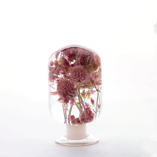Pieces Of Time - Globe Amaranth
